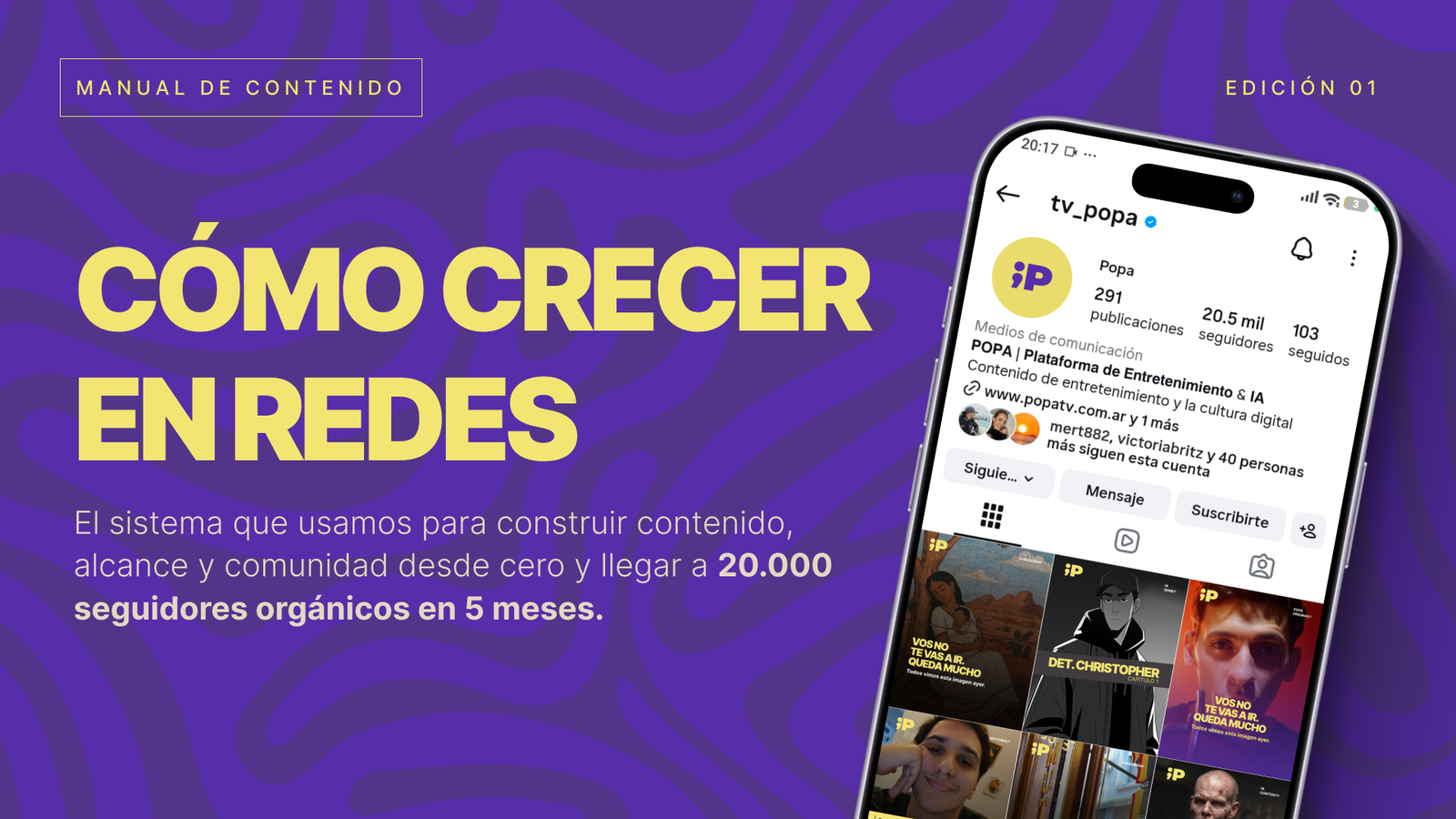 Portada del manual Cómo crecer en redes